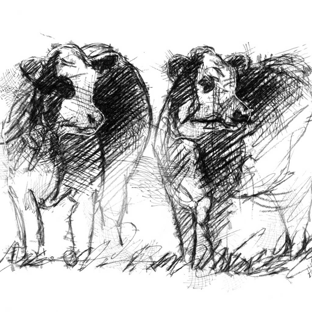 Cow line
