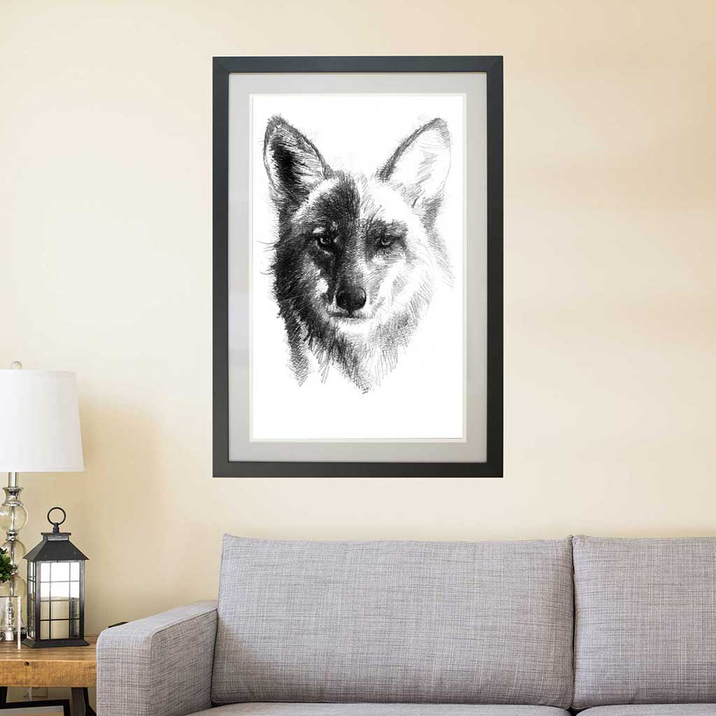 Coyote drawing