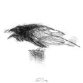 Crow call