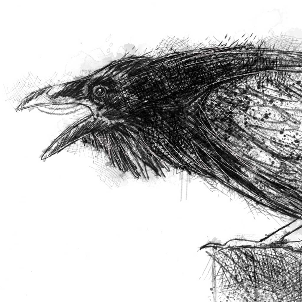 Crow call
