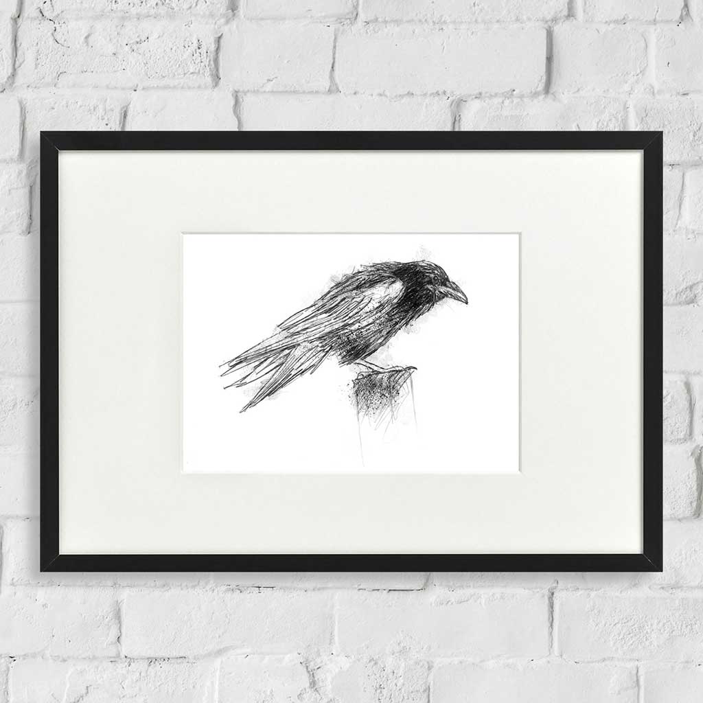 Crow hunched