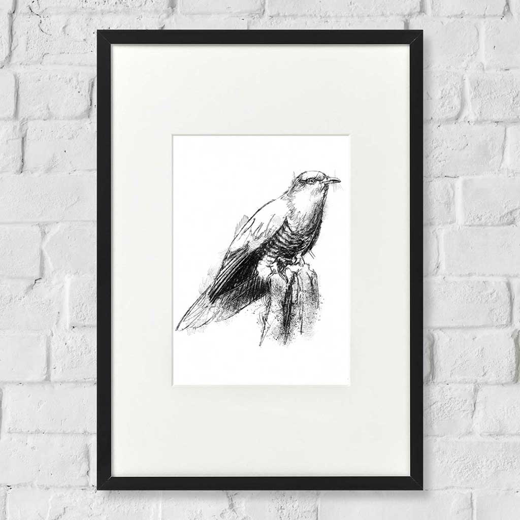 Cuckoo