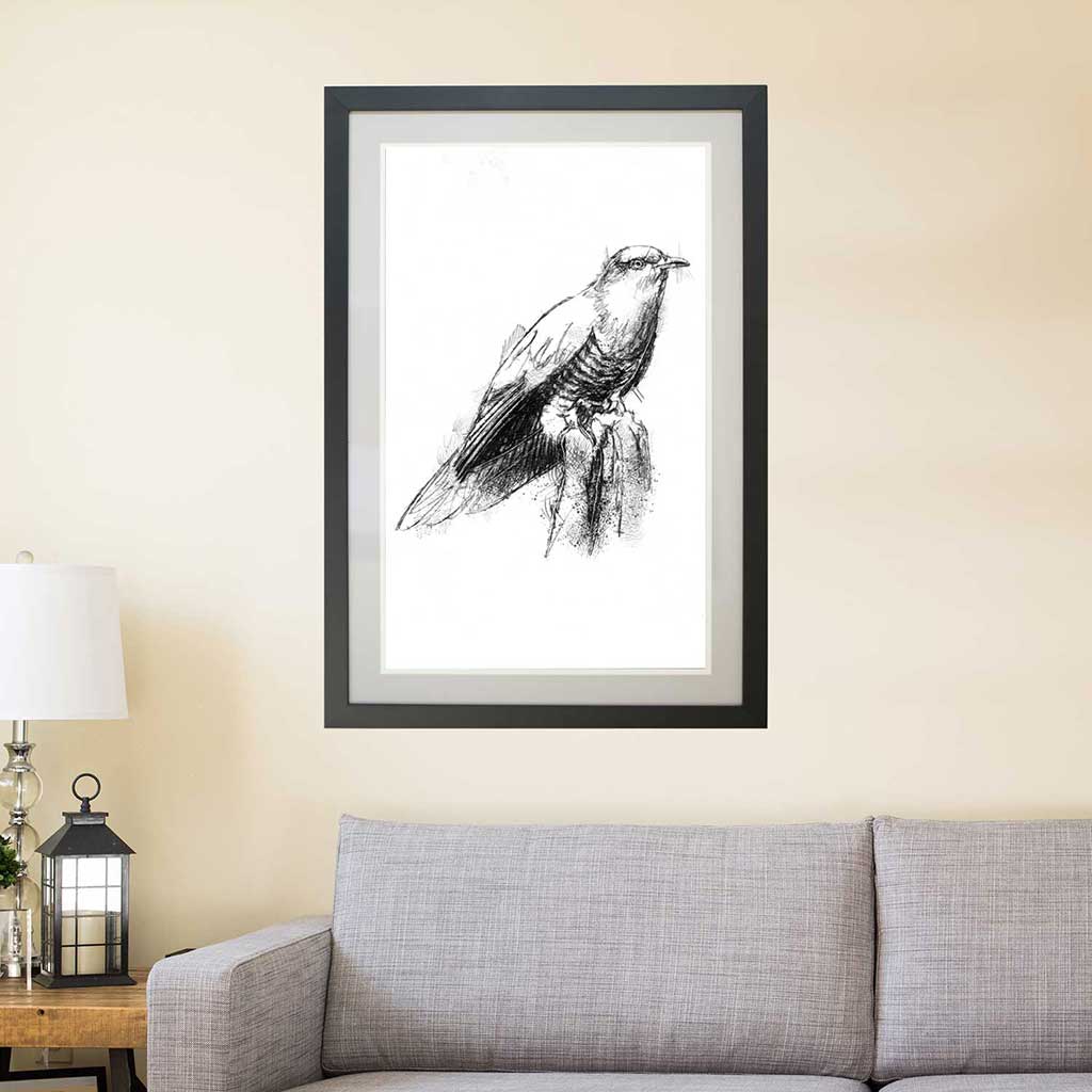 Cuckoo