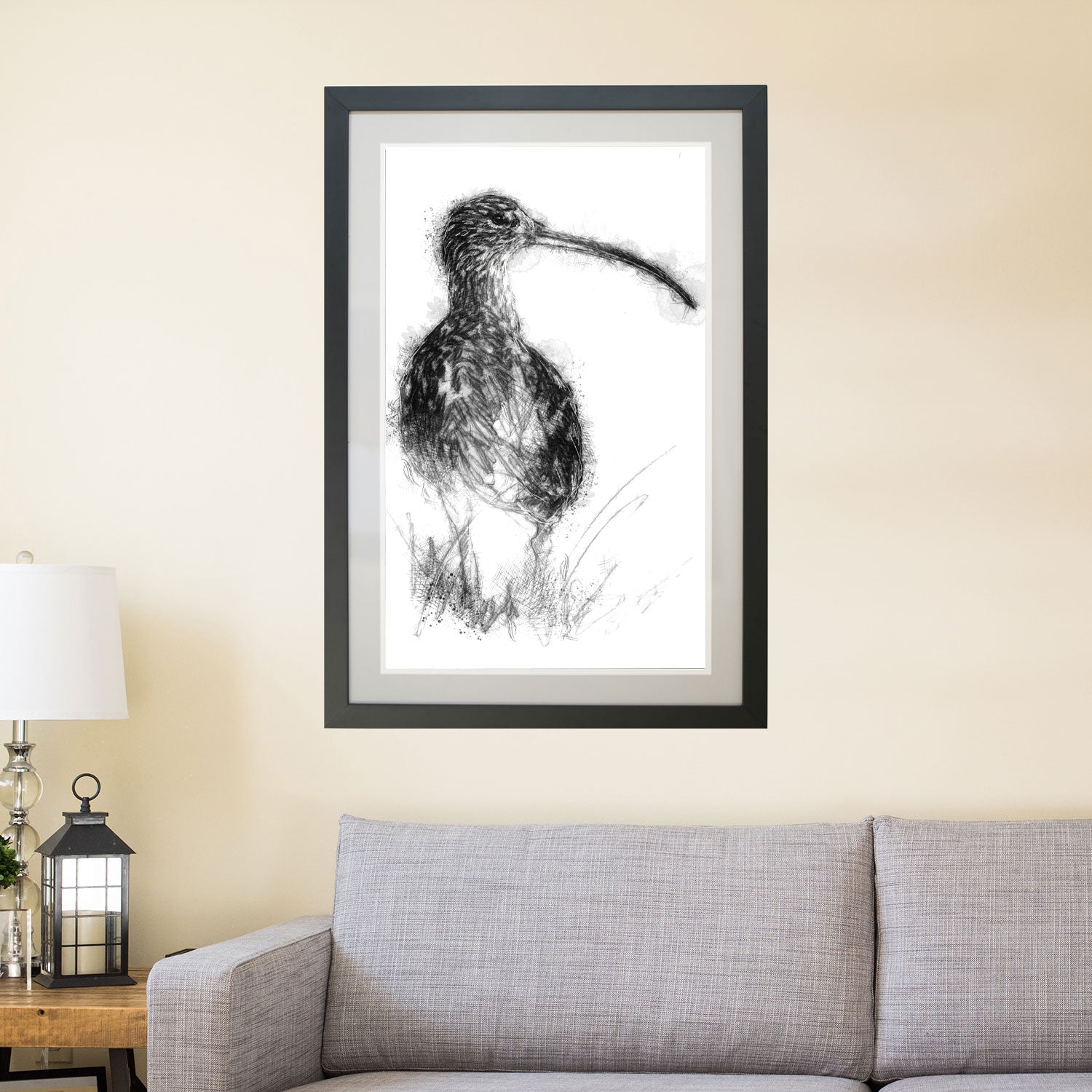 Curlew