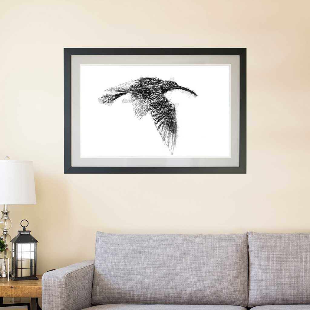 Curlew flight