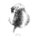 Dormouse