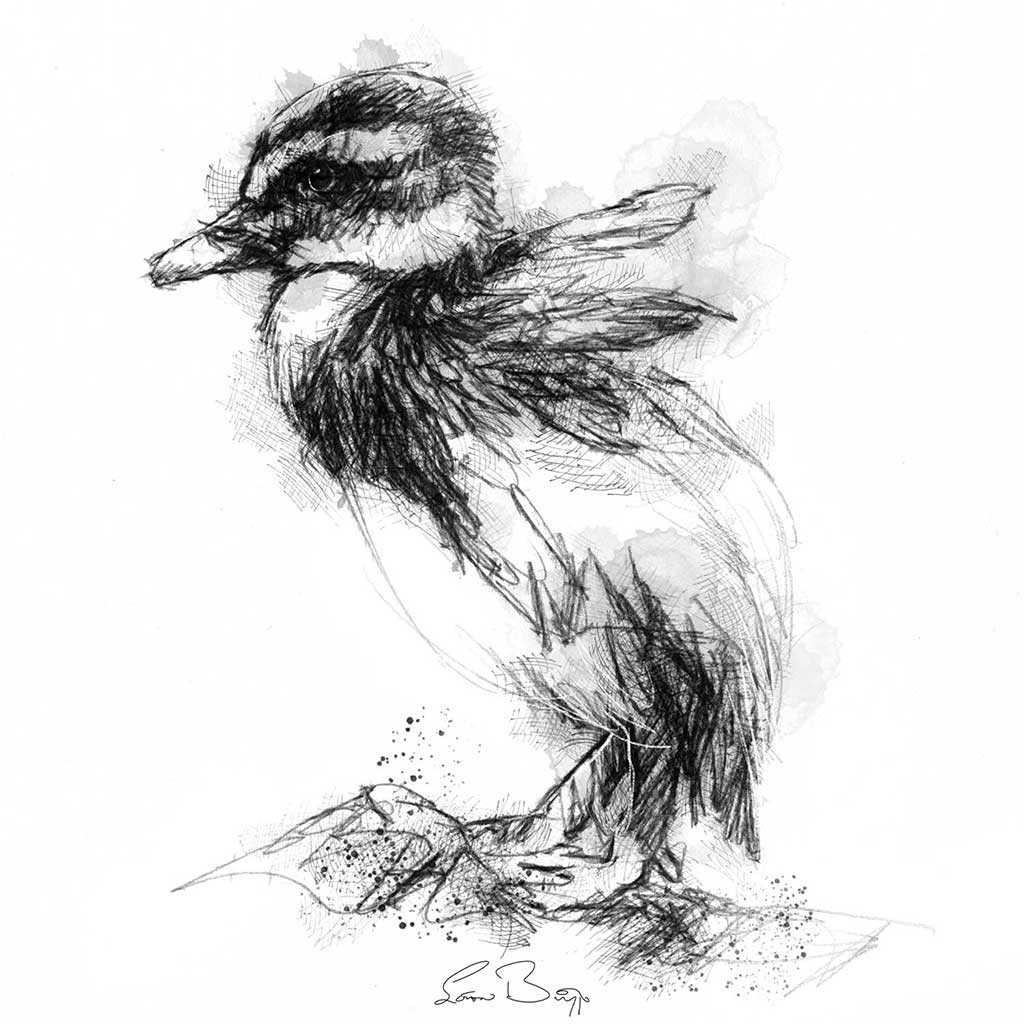 Little duckling