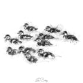 Duckling