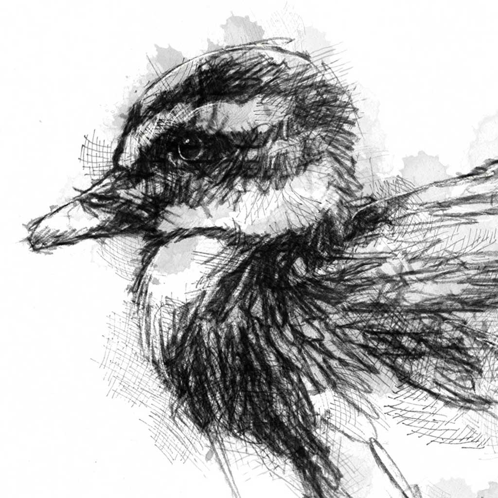Little duckling