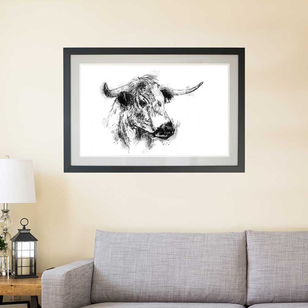English longhorn cow