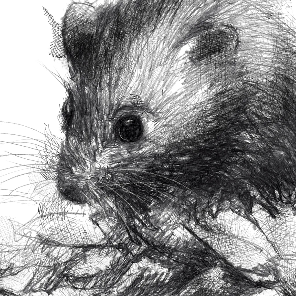 Harvest mouse