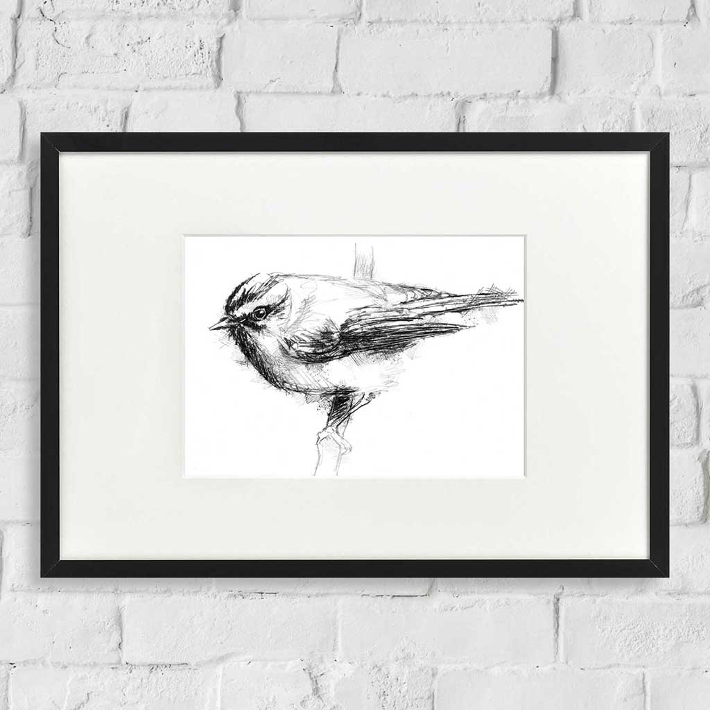 Firecrest