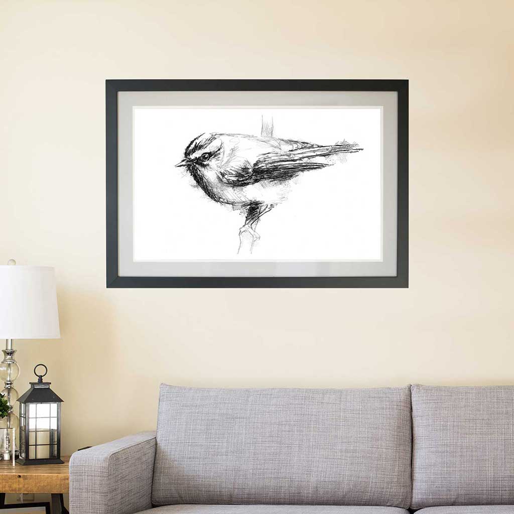 Firecrest