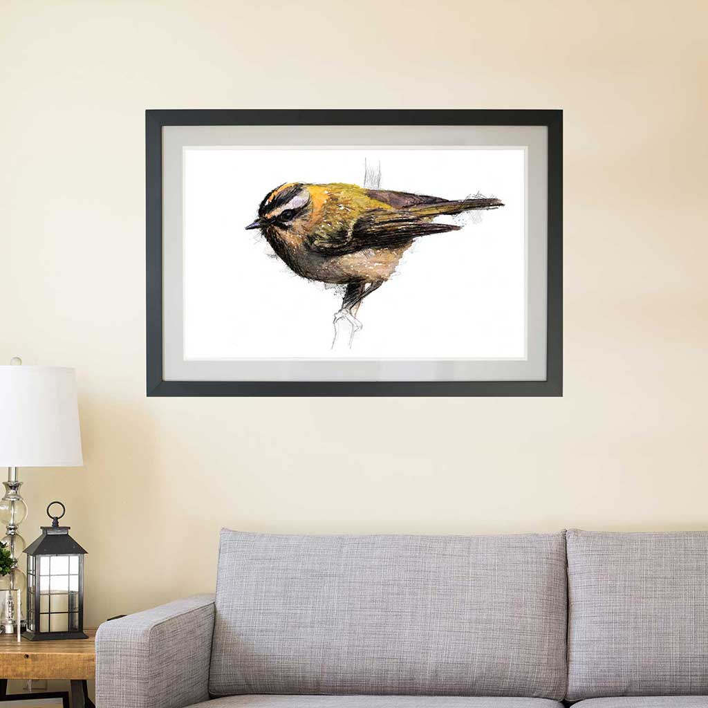 Firecrest colour