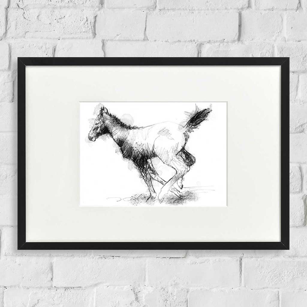 Foal running