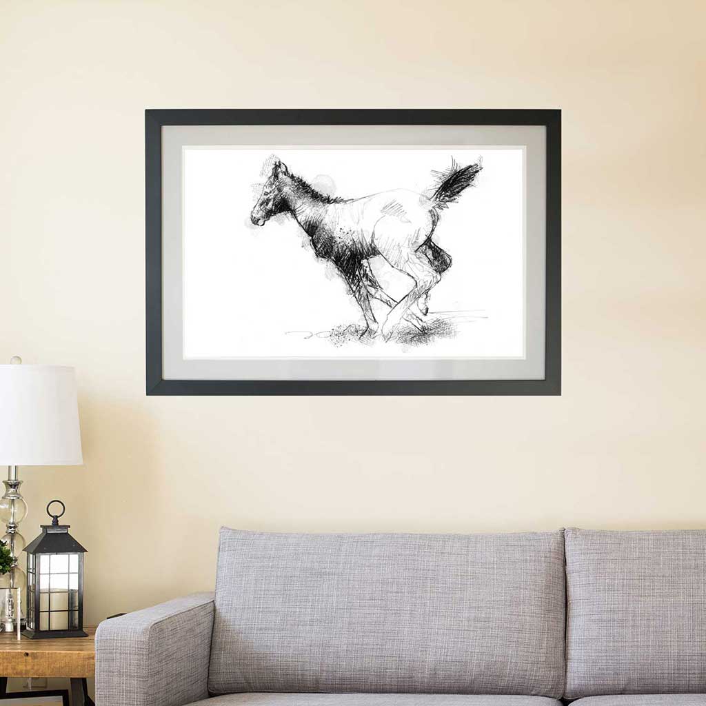 Foal running
