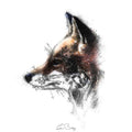 Red fox