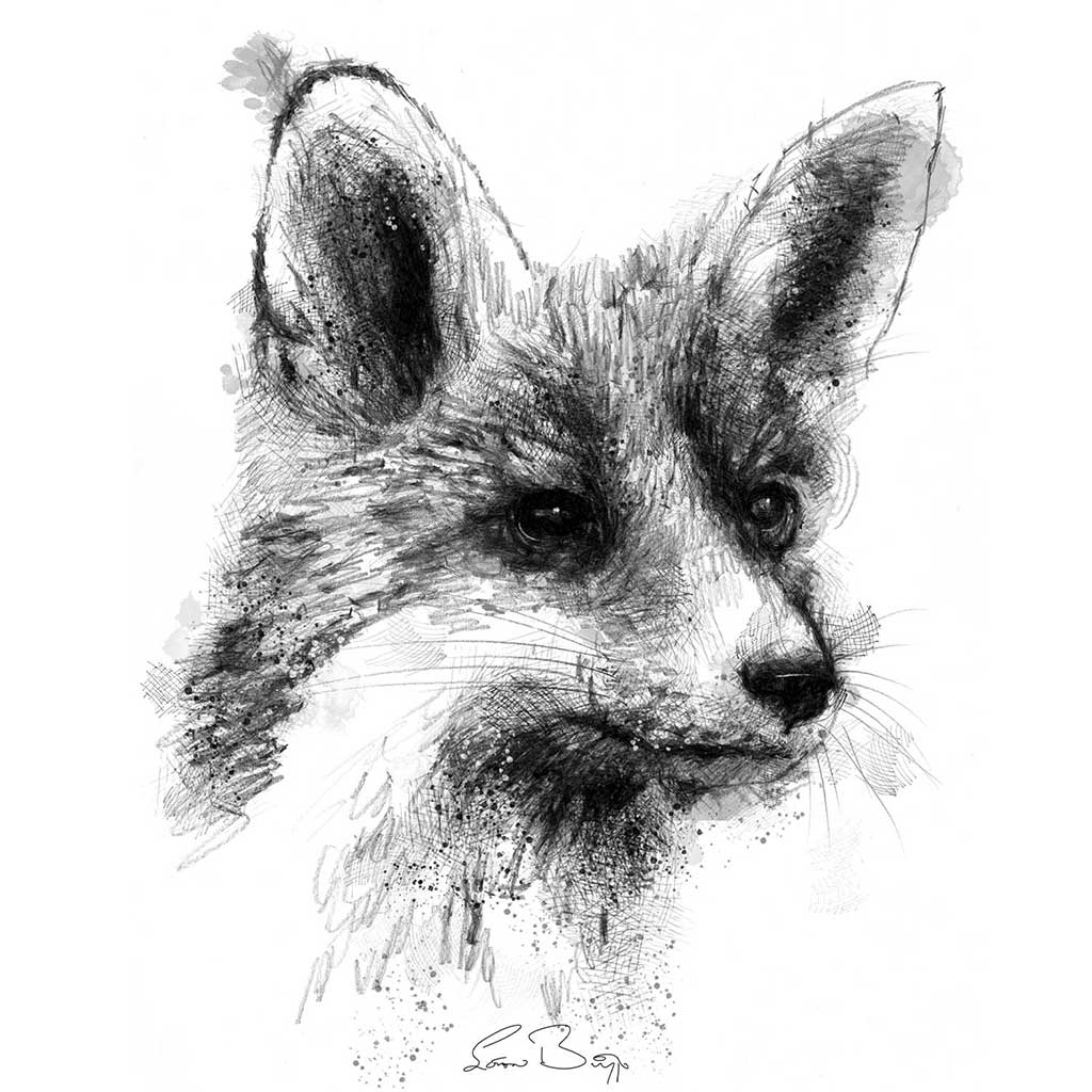 Red fox