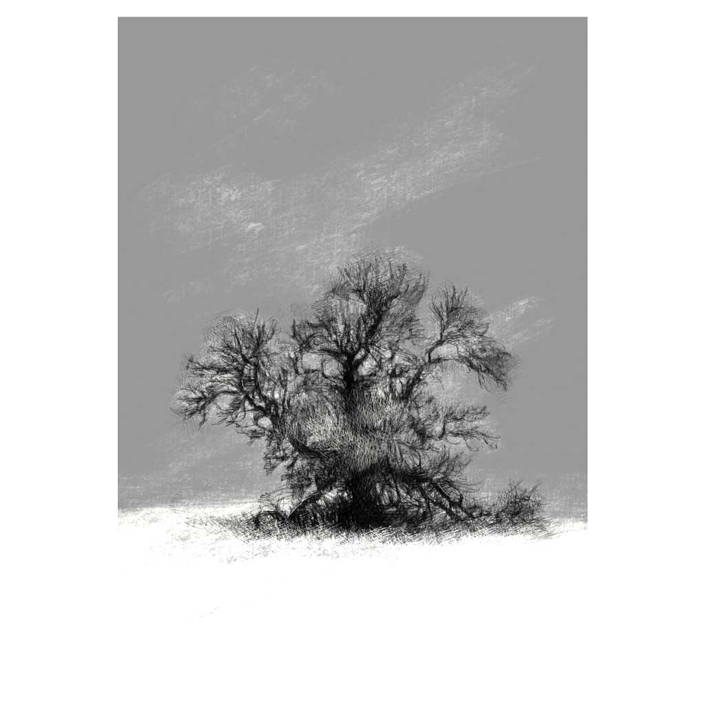Snow tree