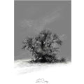 Frosty tree