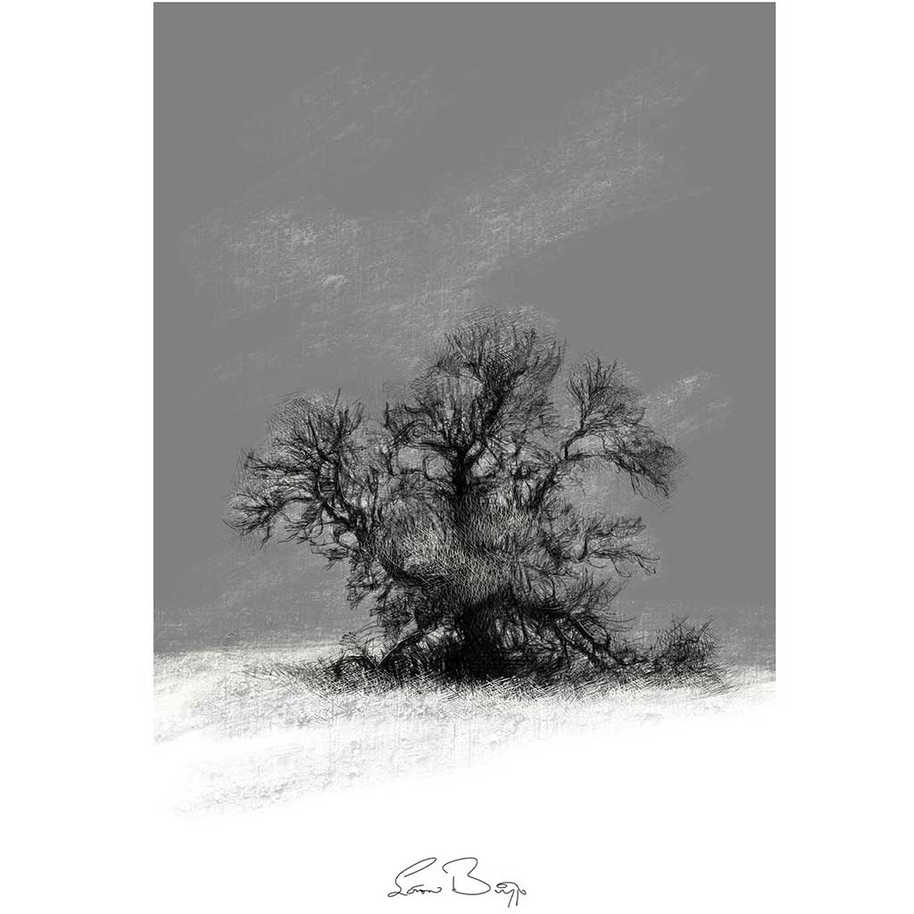 Frosty tree