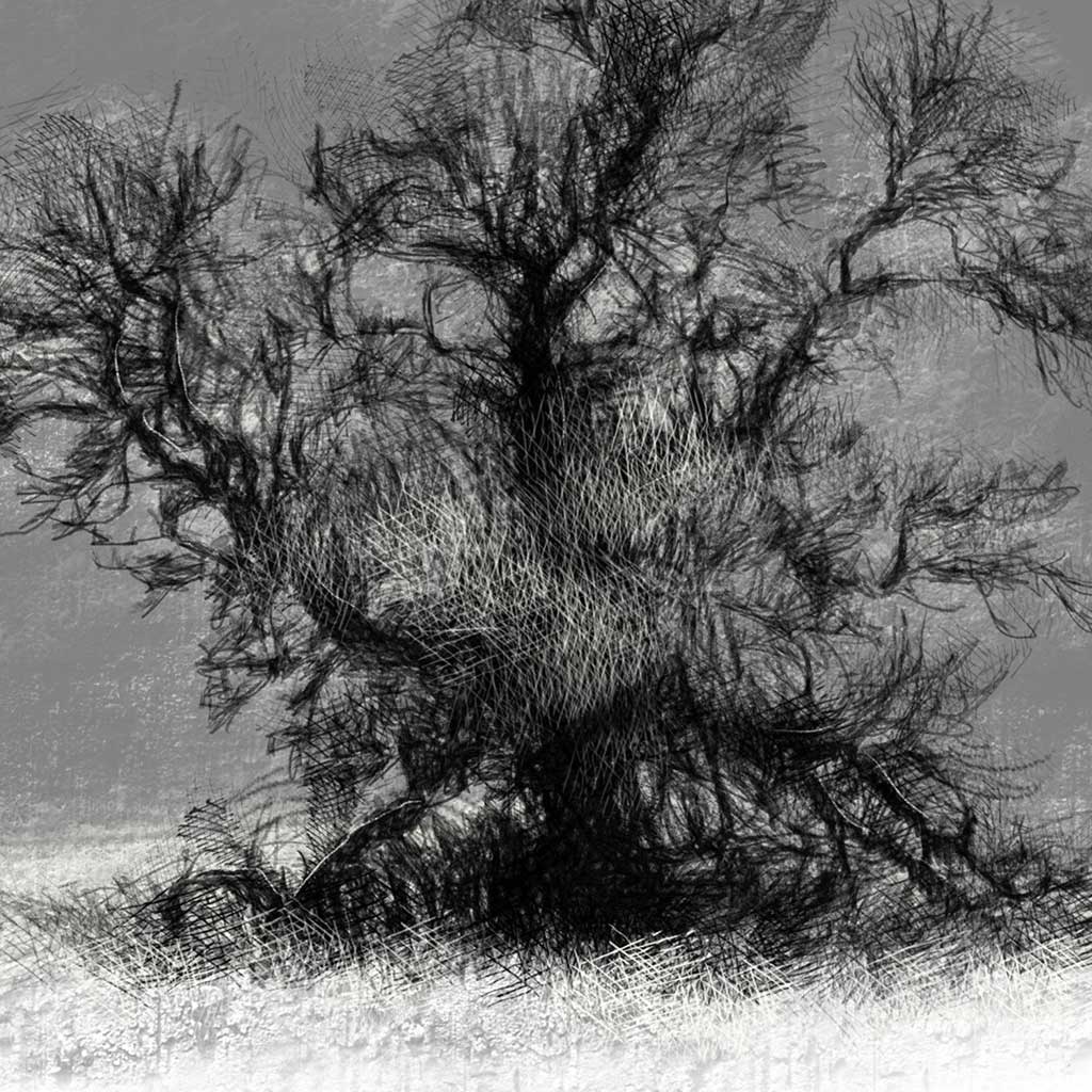 Frosty tree