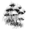 Fungi clump