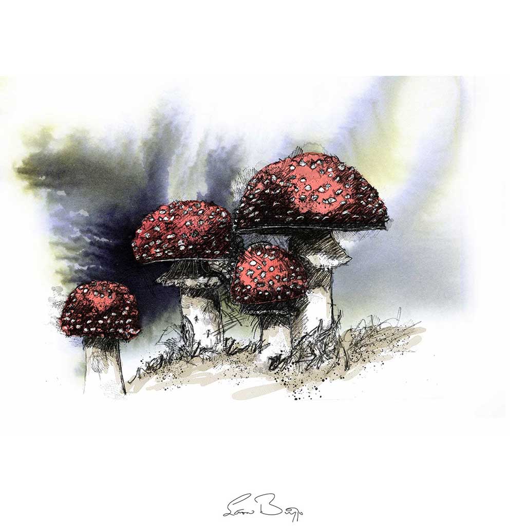 Toadstools