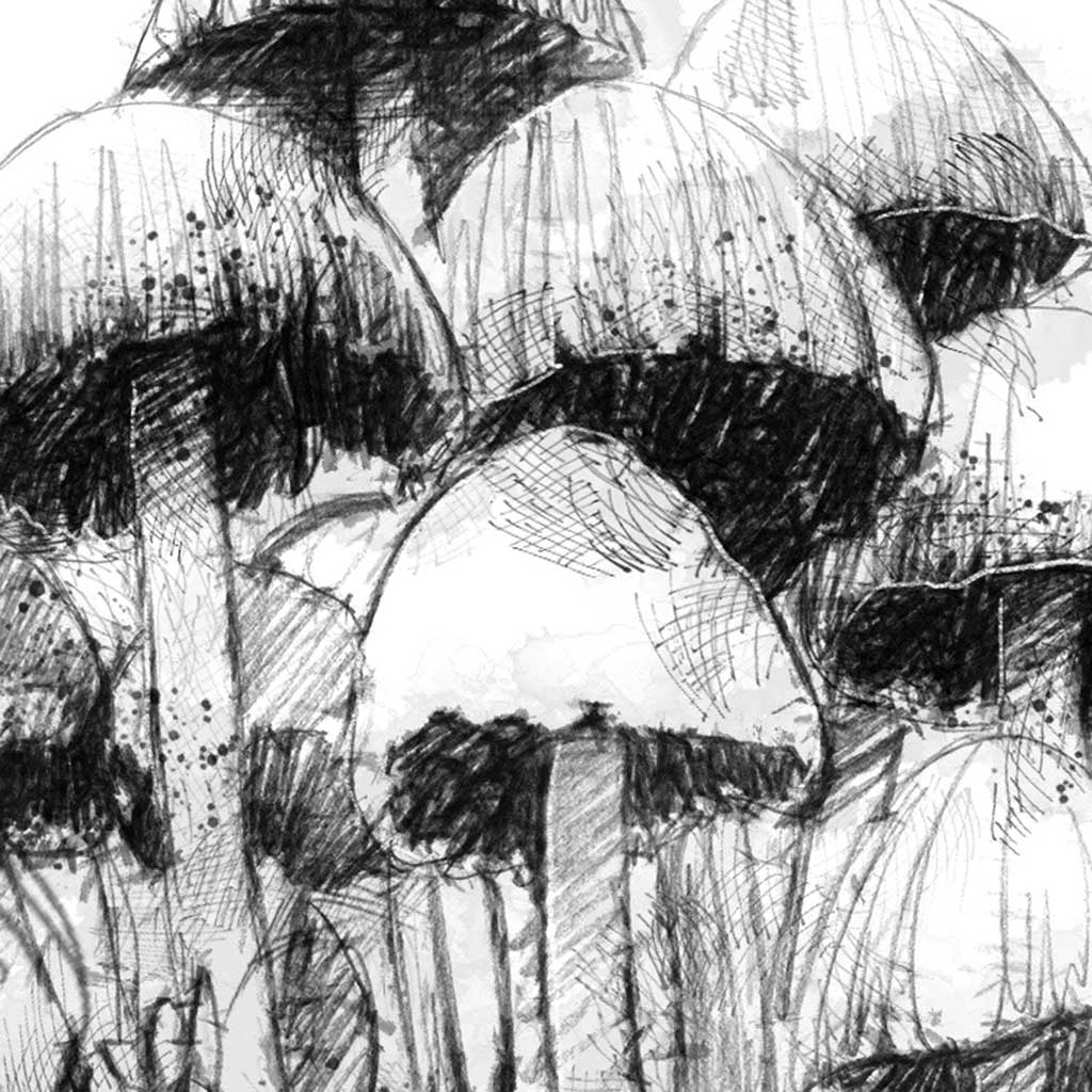 Fungi clump