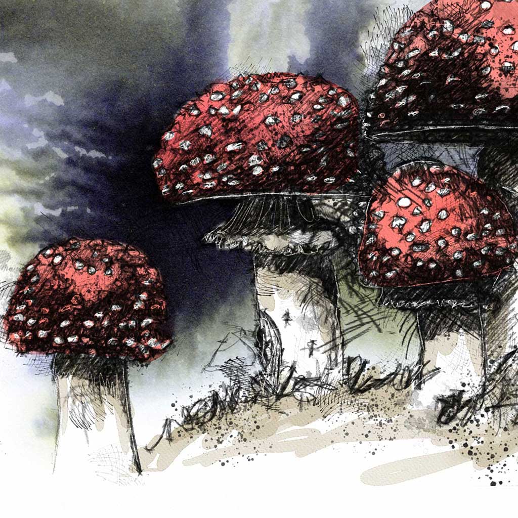 Toadstools