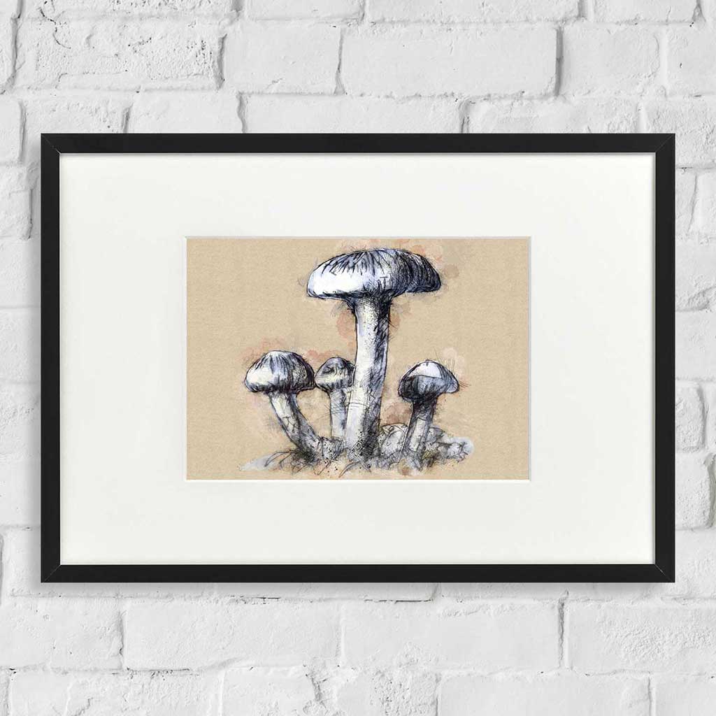 Fungi
