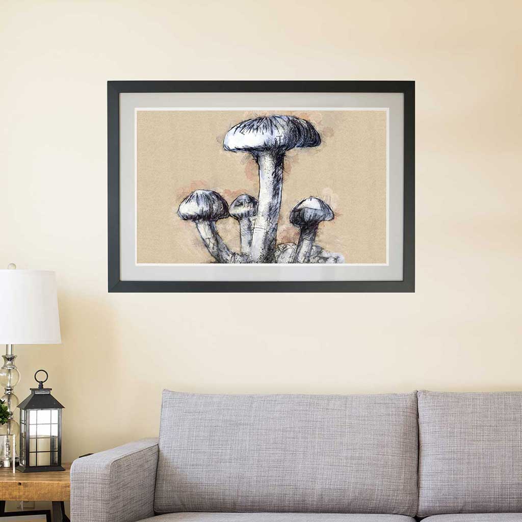 Fungi