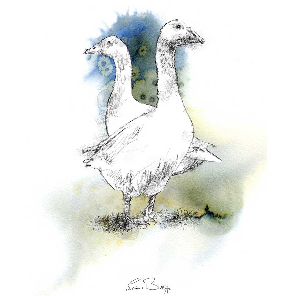 Geese