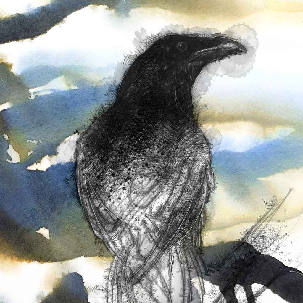 Ghost of a crow