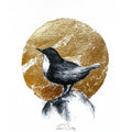 Dipper gold leaf