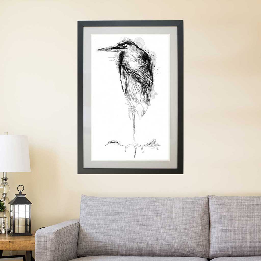 Grey heron