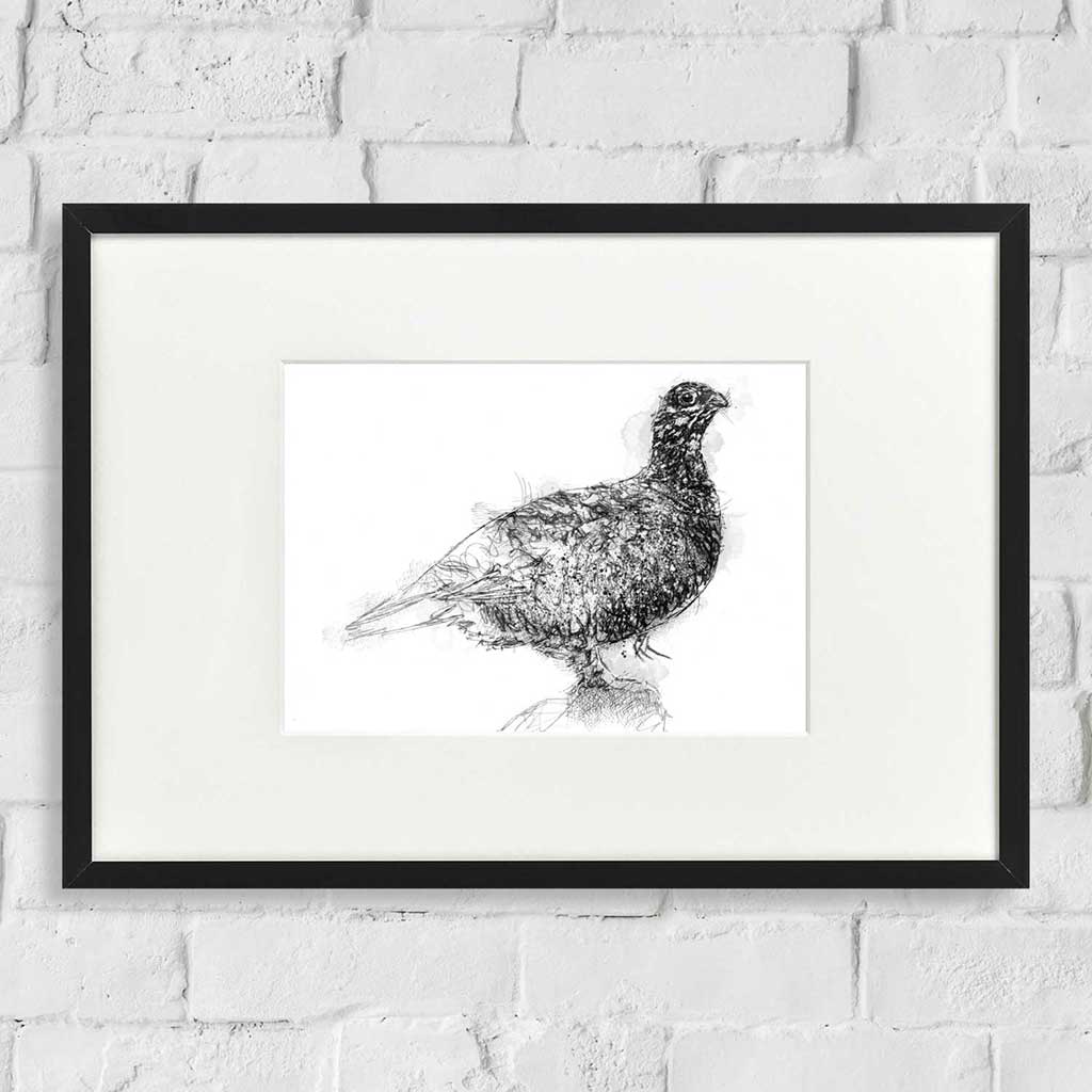 Grouse