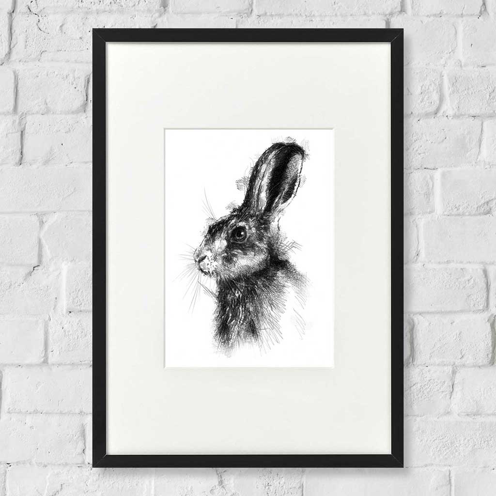 Brown hare