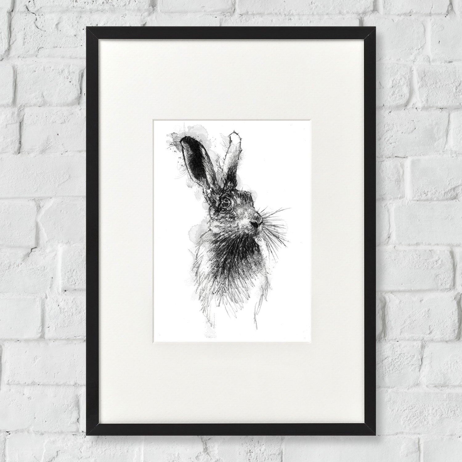 Brown hare