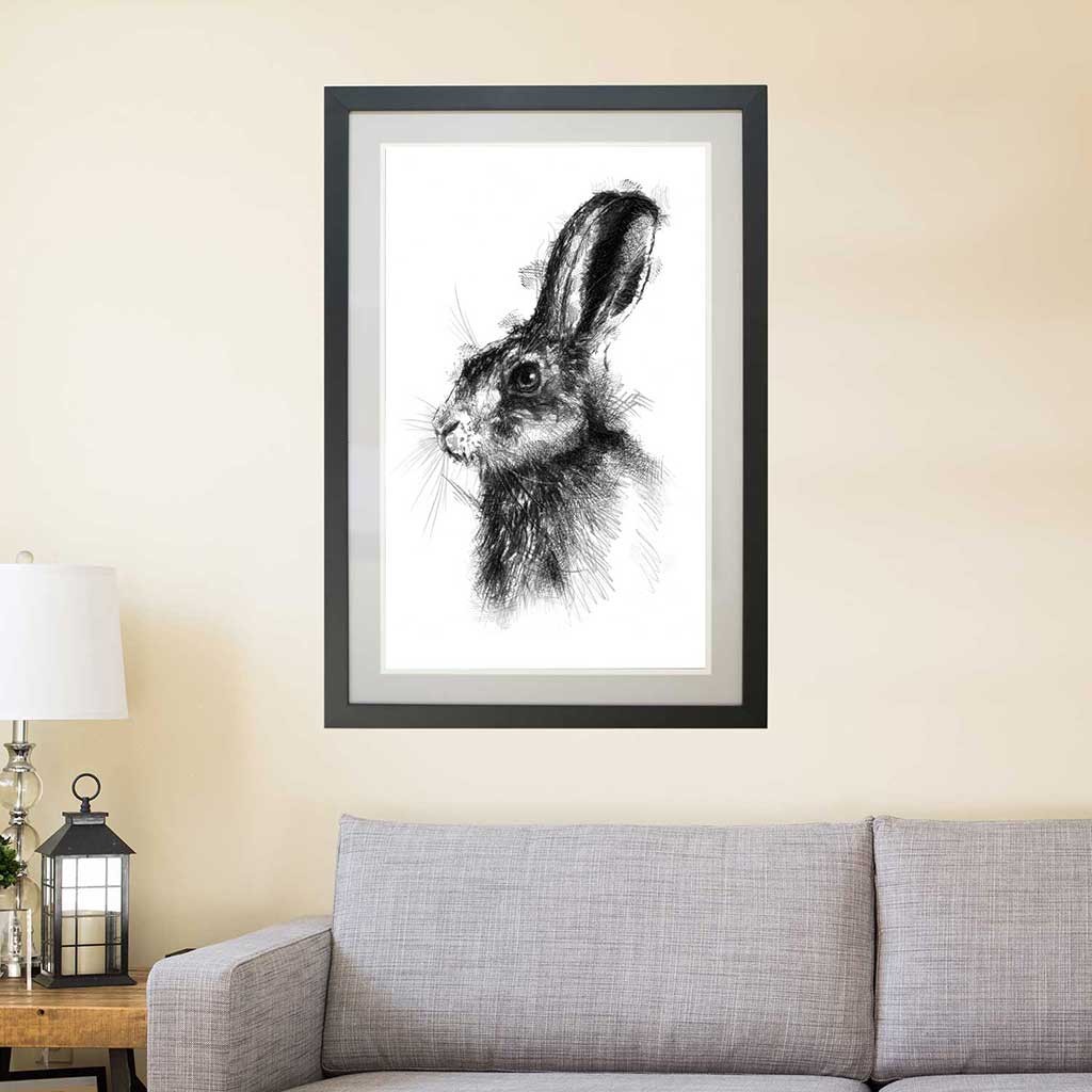 Brown hare