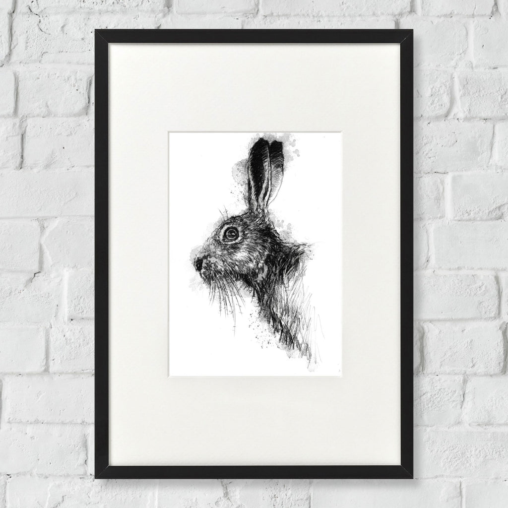 Brown hare