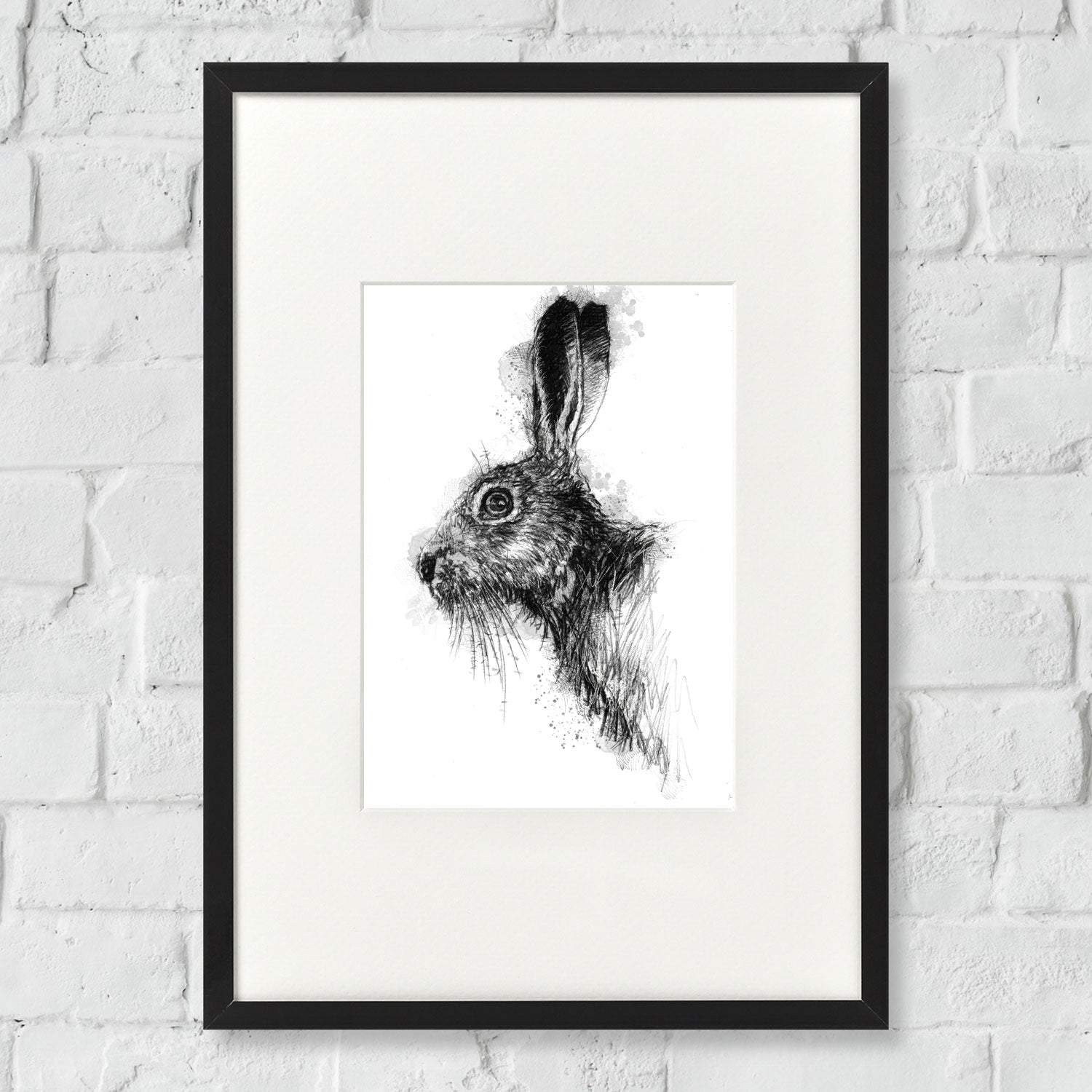 Brown hare
