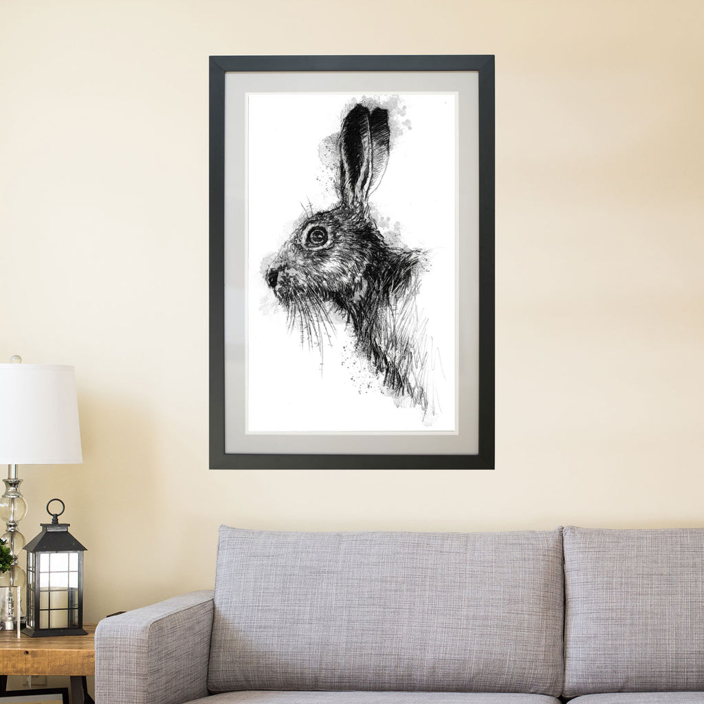 Brown hare