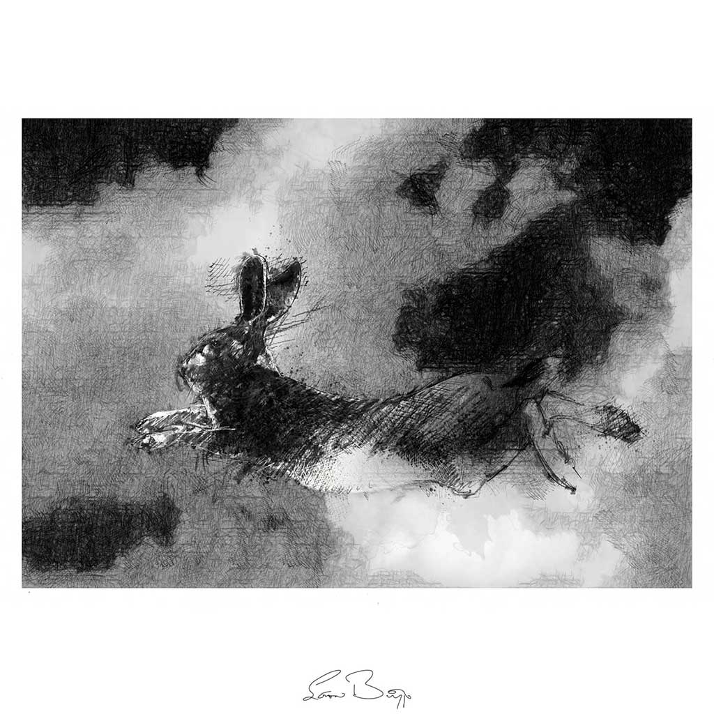 Flying hare