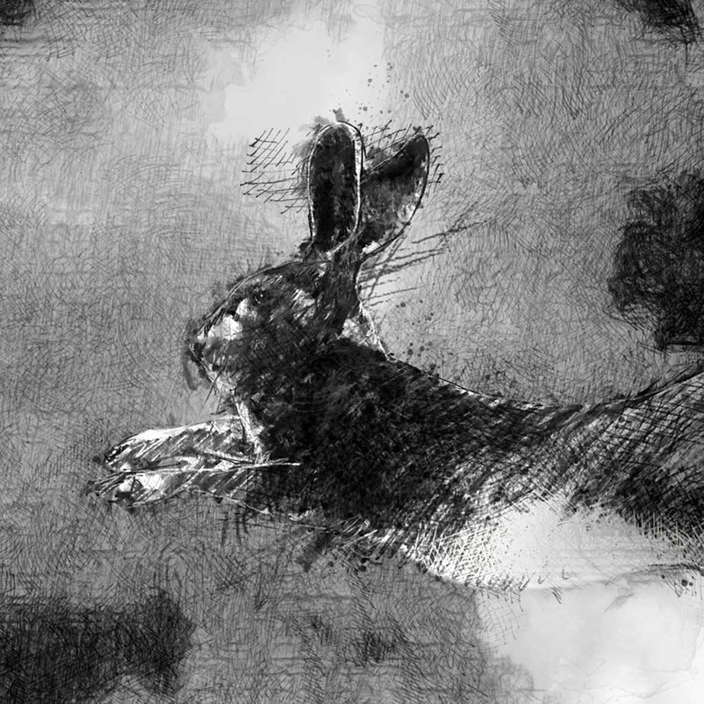 Flying hare