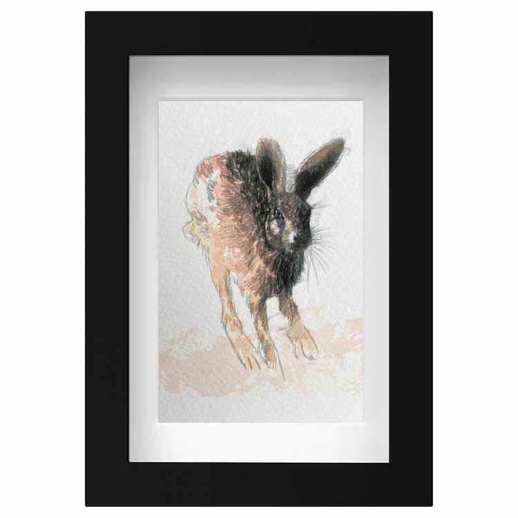 Hare trot mini sketch