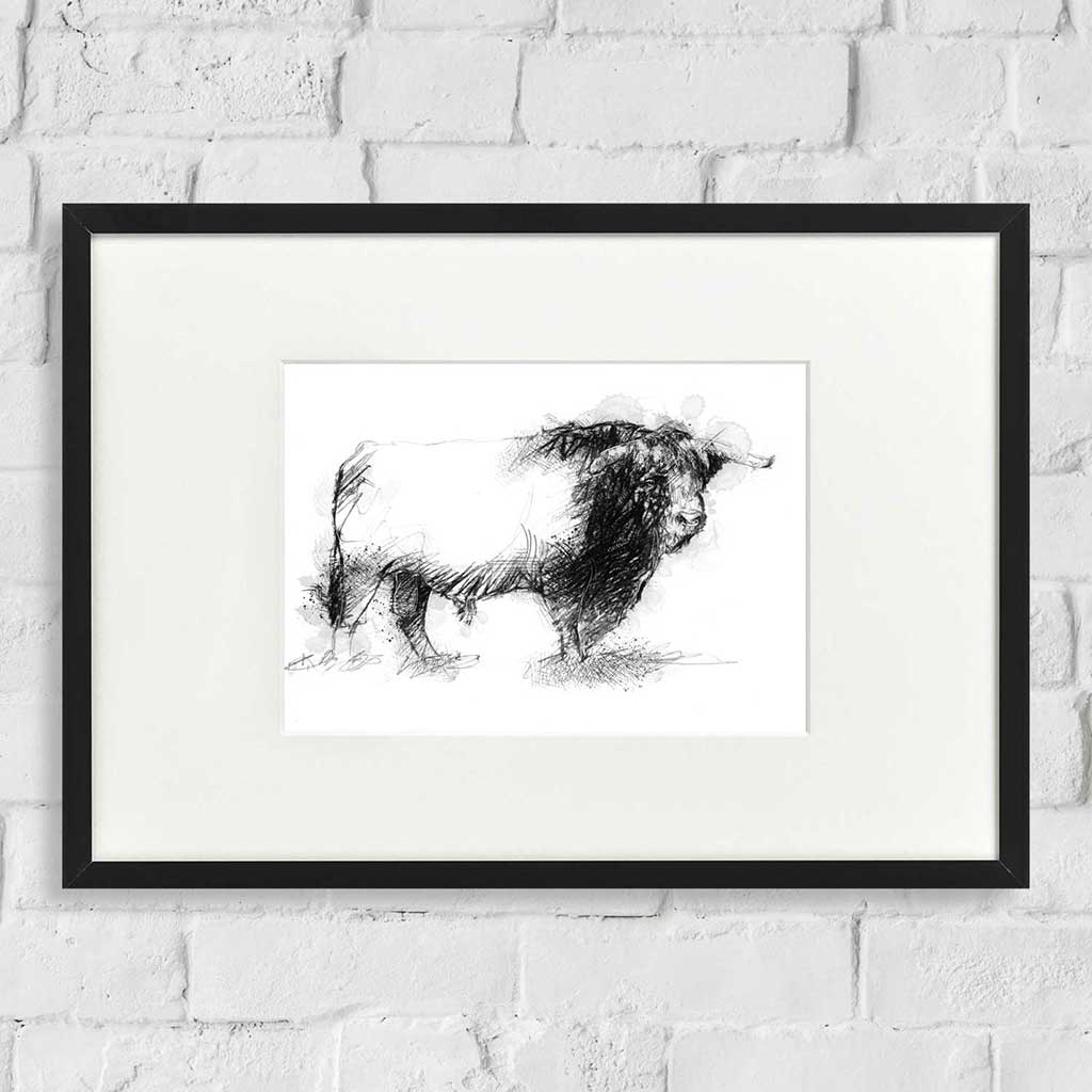 Hereford bull