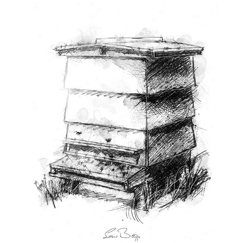 Bee hive