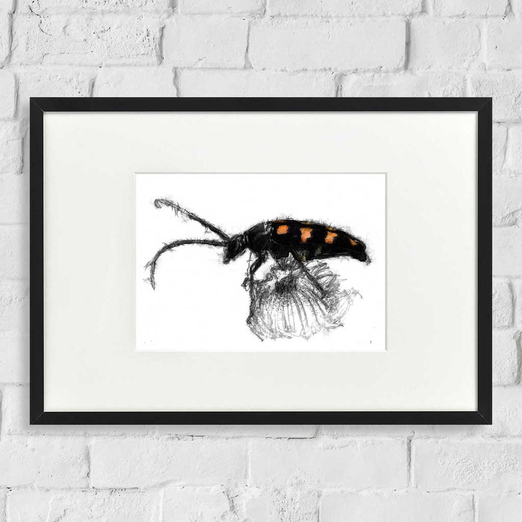 Long horned beetle