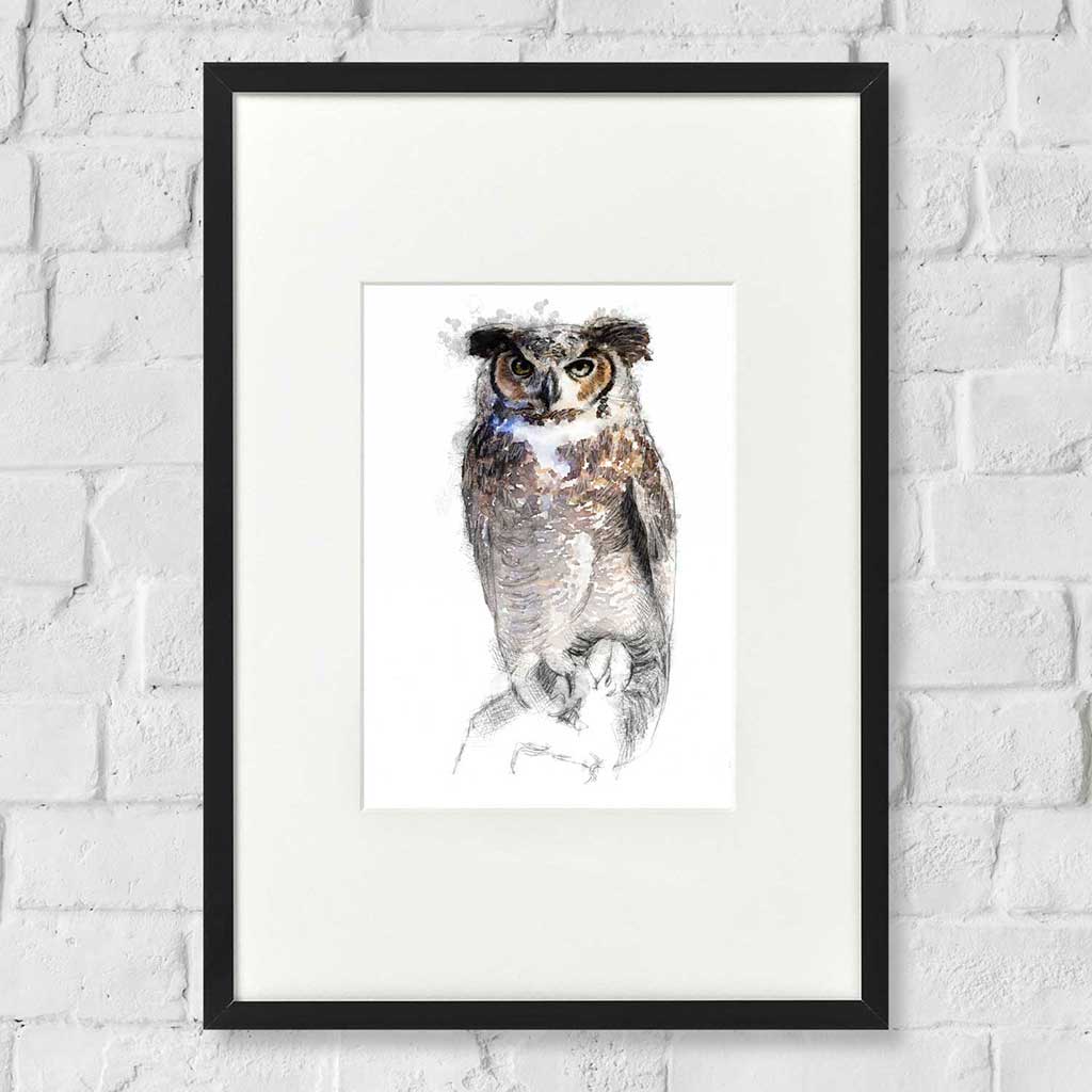 Horned owl